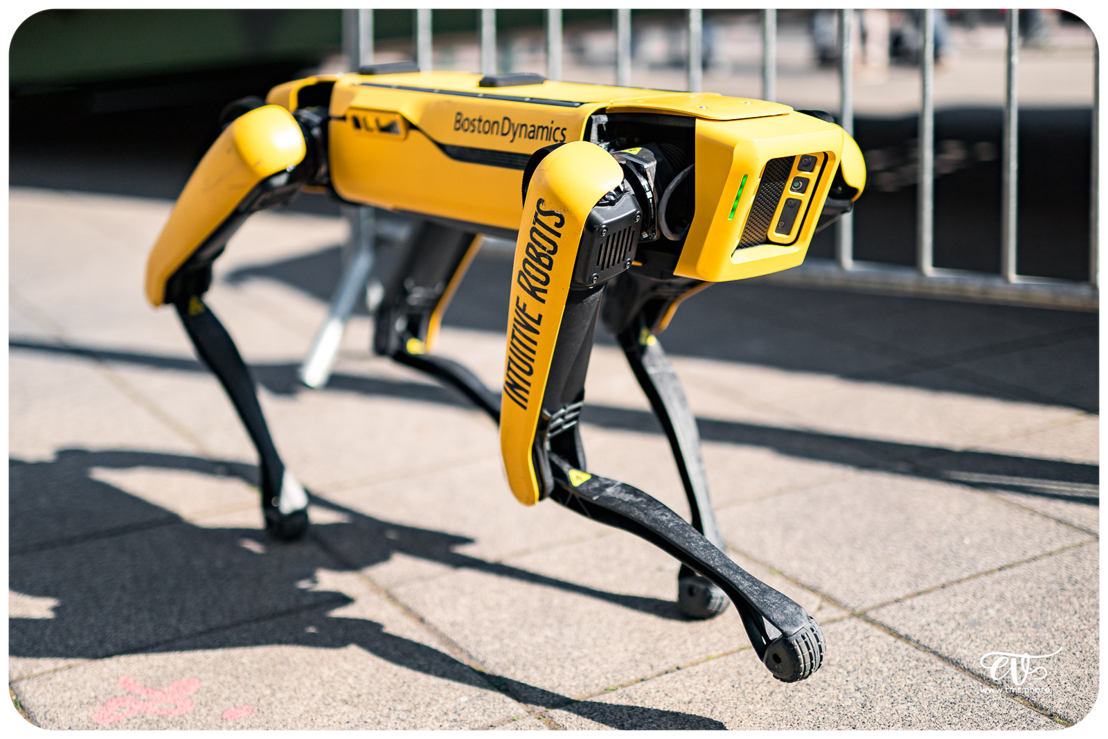 SPOT (BOSTON DYNAMICS)